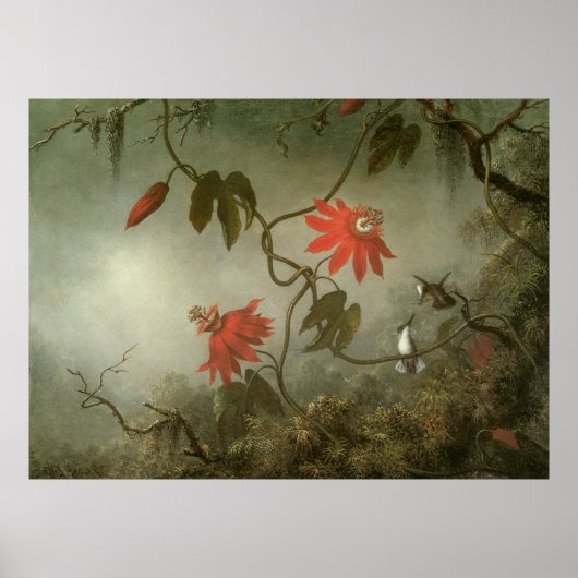 Poster Martin Johnson Heade Fleurs de passion (Devant)