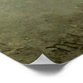 Poster Martin Johnson Heade Fleurs de passion (Coin)