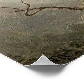 Poster Martin Johnson Heade - Fleurs de passion et Hummin (Coin)