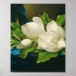 Poster Martin Johnson Heade - Magnolias géants