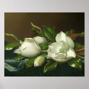 Poster Martin Johnson Heade - Magnolias sur le bleu clair