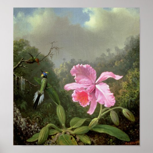 Poster Martin Johnson Heade Orchid Et Hummingbirds (Devant)
