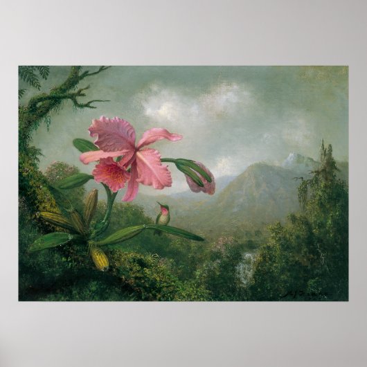 Poster Martin Johnson Heade - Orchidée avec deux colibri (Devant)