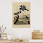 Poster Martin-pêcheur (Cuisine)