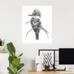 Poster Martin-pêcheur à aquarelle Art de la nature