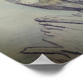 Poster Martin-pêcheur à ceinture (Coin)