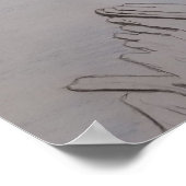 Poster Martin-pêcheur à ceinture (Coin)