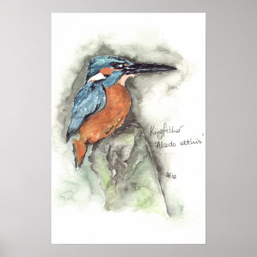 Poster Martin-pêcheur en aquarelle (Devant)