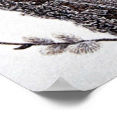 Poster martin pêcheur (femelle) (Coin)