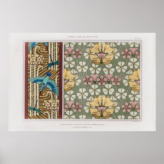 Poster Martin-pêcheur, libellules et frissons (Devant)