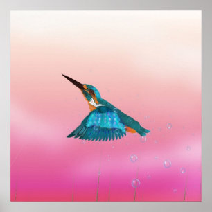 Poster martin-pêcheur oiseau
