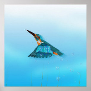 Poster martin-pêcheur oiseau
