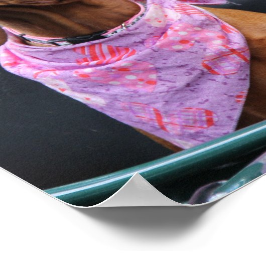 Poster Marty & Zoe (Coin)