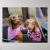 Poster Marty & Zoe (Devant)