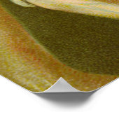 Poster Martyre de Saint-Agatha (M 003) (Coin)