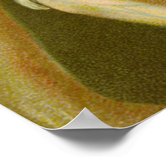 Poster Martyre de Saint-Agatha (M 003) (Coin)