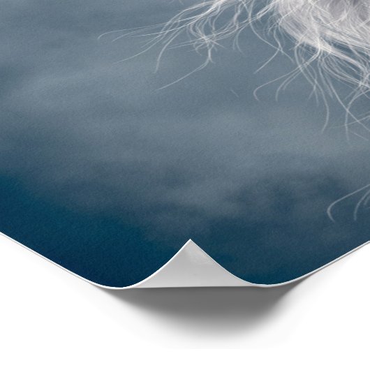 Poster Marvelous White Pegasus (Coin)