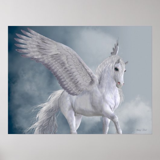 Poster Marvelous White Pegasus (Devant)