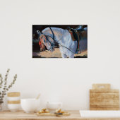 Poster Marwari Horse Rajasthan 2010 (Cuisine)