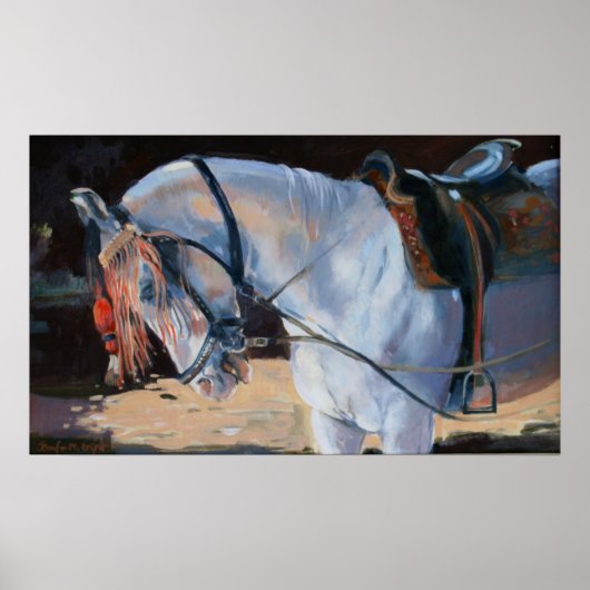 Poster Marwari Horse Rajasthan 2010 (Devant)