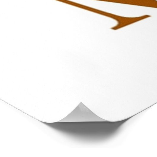 Poster Mary Richards (Coin)