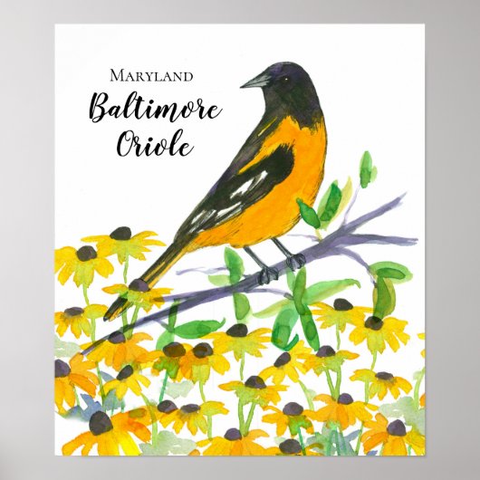 Poster Maryland Baltimore Oriole Black Eyed Susans (Devant)