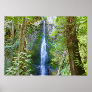 Poster Marymere Falls I au parc national Olympique