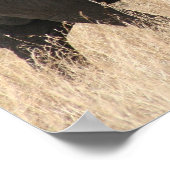 Poster masaï des éléphants (Coin)