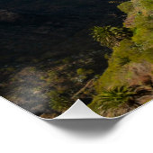 Poster Masca en Espagne (Coin)