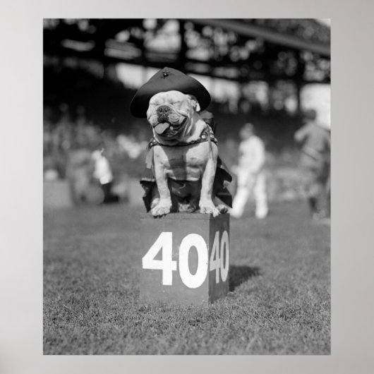 Poster Mascotte des Marines Jiggs : 1923 (Devant)