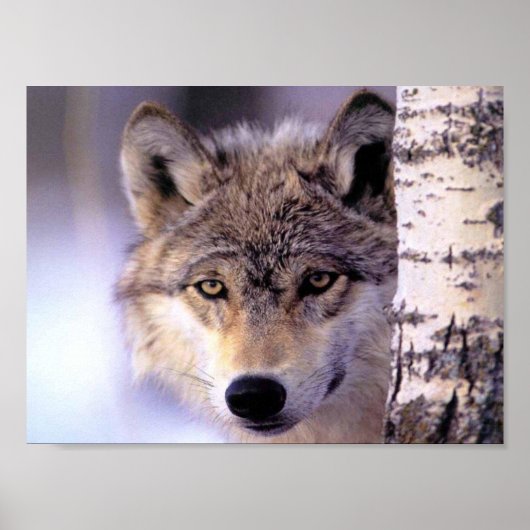 Poster Masquage (Devant)