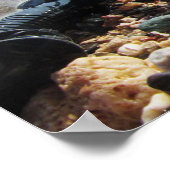 Poster Masque de plongée, Tuba, Mer Rouge, Egypte (Coin)