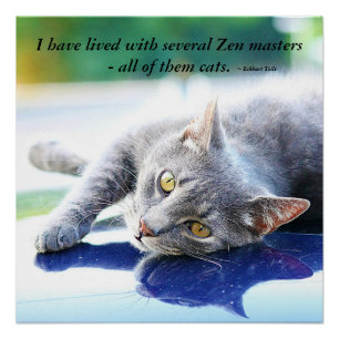 Poster Masque Zen Cat