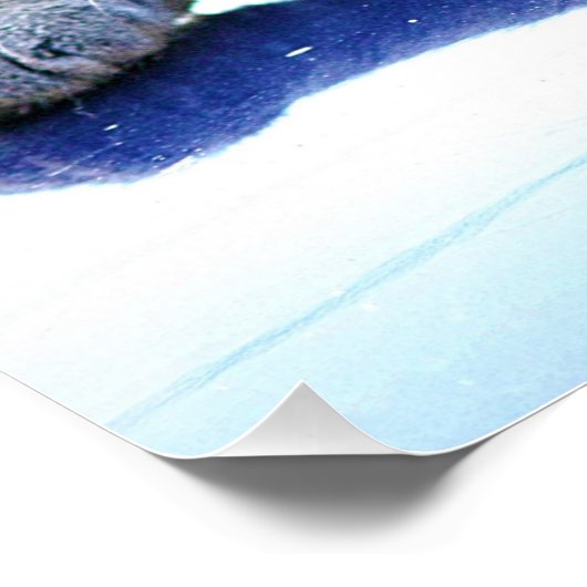 Poster Masque Zen Cat (Coin)