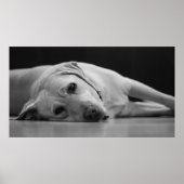 Poster Masquer le canevas 'ONE' (Devant)