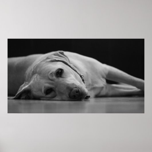 Poster Masquer le canevas 'ONE' (Devant)