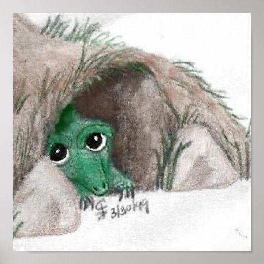 Poster Masquer le dragon (Devant)