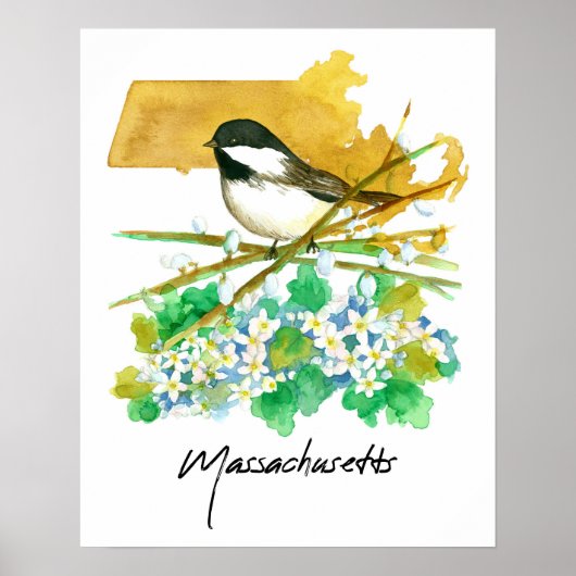 Poster Massachusetts Bird Chickadee Willow Branches (Devant)