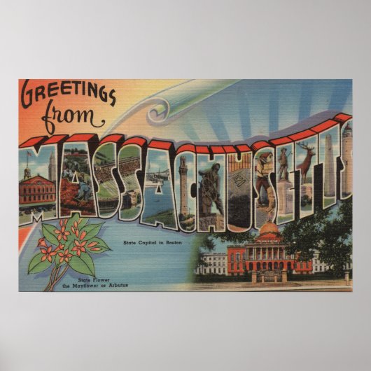 Poster Massachusetts (Capitale d'Etat/Fleur) (Devant)