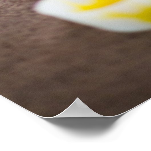 Poster Massage (Coin)