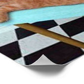 Poster Massage amusant de chats (Coin)