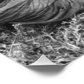 Poster Massai Warriors photo (Coin)