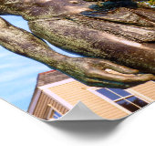 Poster Massasoit, Plymouth, Massachusetts - imprimer (Coin)