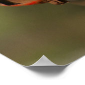 Poster Massey Ferguson (Coin)