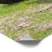 Poster Massey Ferguson 35X (Coin)