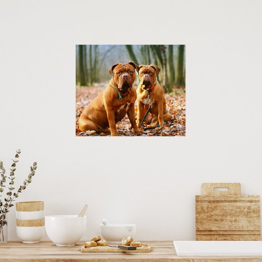 Poster Mastiff (Cuisine)