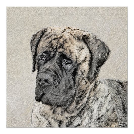 Poster Mastiff anglais (Brindle) Peinture - Chien Art (Devant)