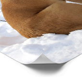 Poster Mastiff anglais en hiver Wonderland (Coin)