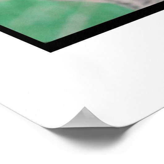 Poster Mastiff Brindle (Coin)