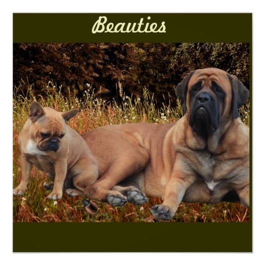 Poster Mastiff Dogge Vatertag (Devant)